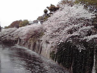 P1010376.JPG